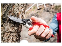 (obrázek pro) Nůžky zahradnické, 215mm, na stříhání větví do průměru 20mm, SK5, EXTOL PREMIUM