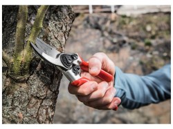 (obrázek pro) Nůžky zahradnické, 215mm, na stříhání větví do průměru 20mm, SK5, EXTOL PREMIUM