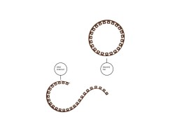 (obrázek pro) Obruba záhonů, hnědá 10m x 40mm EASY BORDER BRADAS