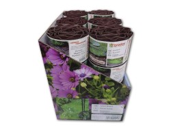 (obrázek pro) Obruba záhonů hnědá, 9m, 20cm COLOUR BOX