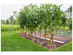 (obrázek pro) Ocelová zahradní tyč 1,6 x 120 cm