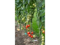 (obrázek pro) Ocelová zahradní tyč 1,6 x 120 cm