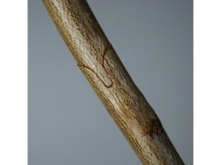 (obrázek pro) Nůžky roubovací 210mm, sada příslušenství GEKO