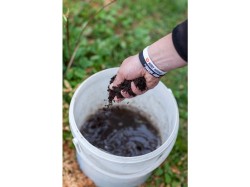 (obrázek pro) Biologický likvidátor pařezů a urychlovač kompostu – KAXL