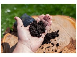 (obrázek pro) Biologický likvidátor pařezů a urychlovač kompostu – KAXL