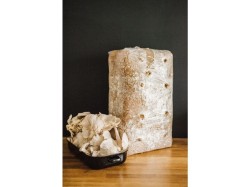 (obrázek pro) Směs pro pěstování Hlíva ústřičná 15kg (Pleurotus ostreatus)