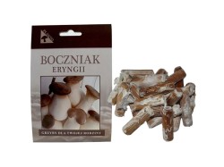 (obrázek pro) Hlíva máčková (Pleurotus eryngii) 20 ks - podhoubí na kolících
