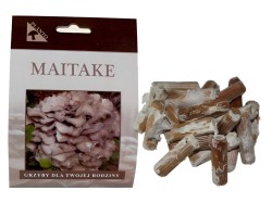 (obrázek pro) Maitake-trsnatec lupenitý (Grifola frondosa) 20 ks - podhoubí na kolících