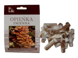 (obrázek pro) Opěnka měnlivá (Kuehneromyces mutabilis) 20 ks - podhoubí na kolících