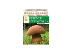 (obrázek pro) Hřib dubový (Boletus reticulatus)- mykorhyzní mycelium