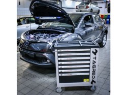 (obrázek pro) Dílenská pojízdná skříňka, 7 zásuvek, sada nářadí 251ks TAGRED