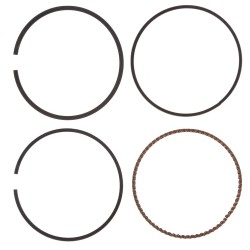 (obrázek pro) Kroužky pro benzínovou sekačku na trávu G83051