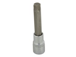 (obrázek pro) Nástrčná hlavice TORX T-60, 100mm