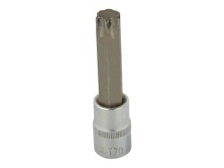 (obrázek pro) Nástrčná hlavice TORX T-70, 100mm