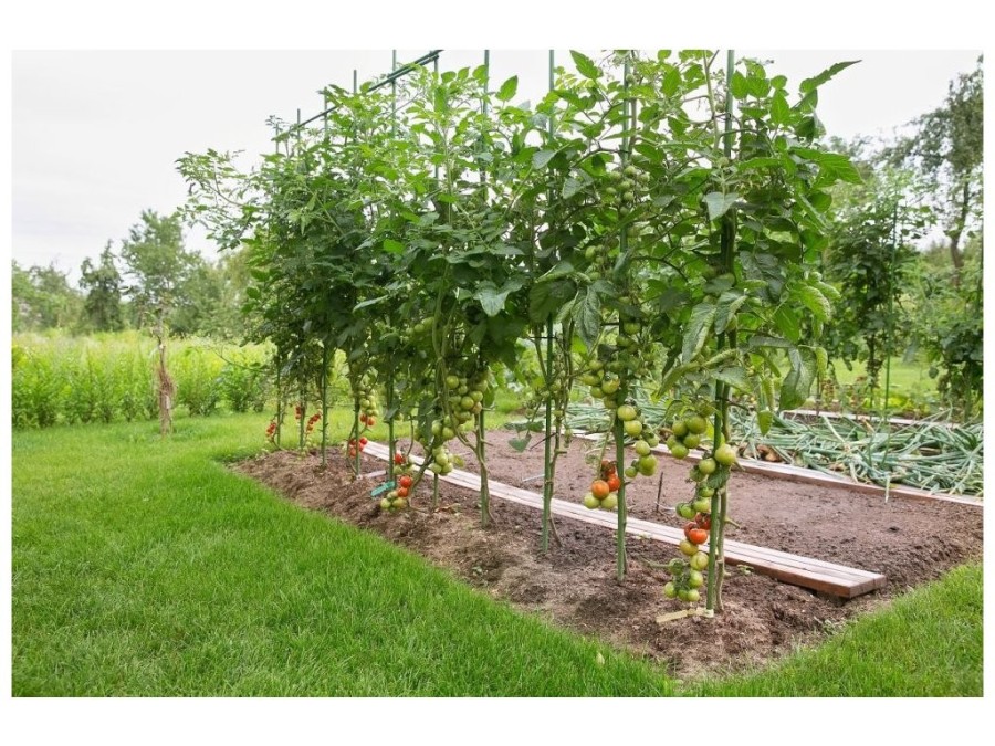 (obrázek pro) Ocelová zahradní tyč 1,6 x 120 cm