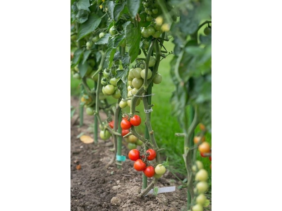 (obrázek pro) Ocelová zahradní tyč 1,6 x 120 cm