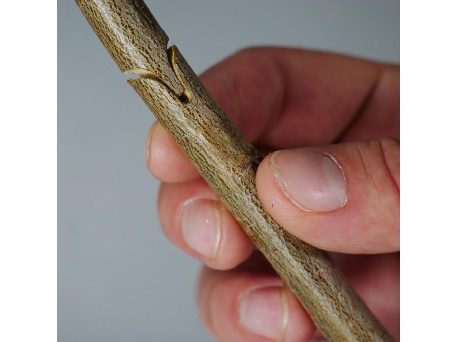 (obrázek pro) Nůžky roubovací 210mm, sada příslušenství GEKO