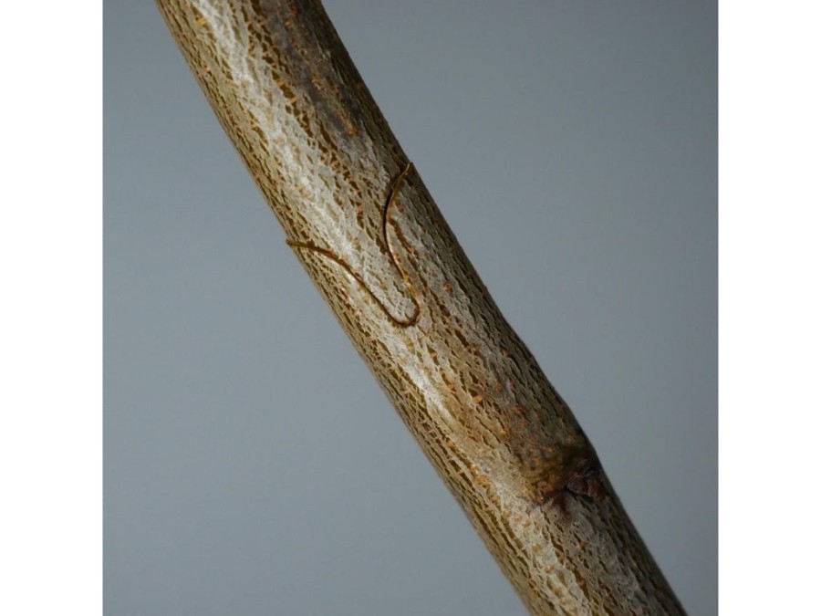 (obrázek pro) Nůžky roubovací 210mm, sada příslušenství GEKO