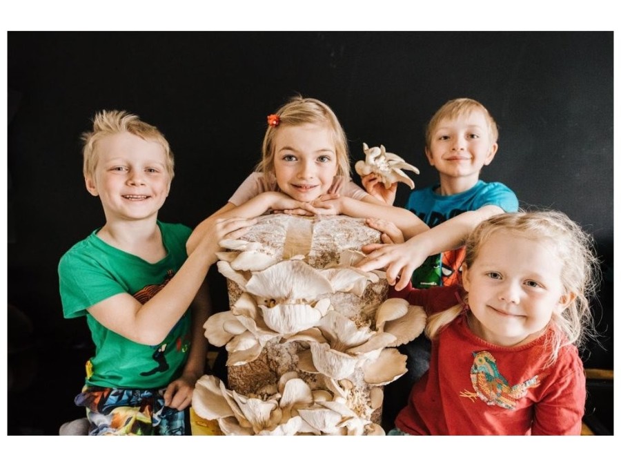 (obrázek pro) Směs pro pěstování Hlíva ústřičná 15kg (Pleurotus ostreatus)