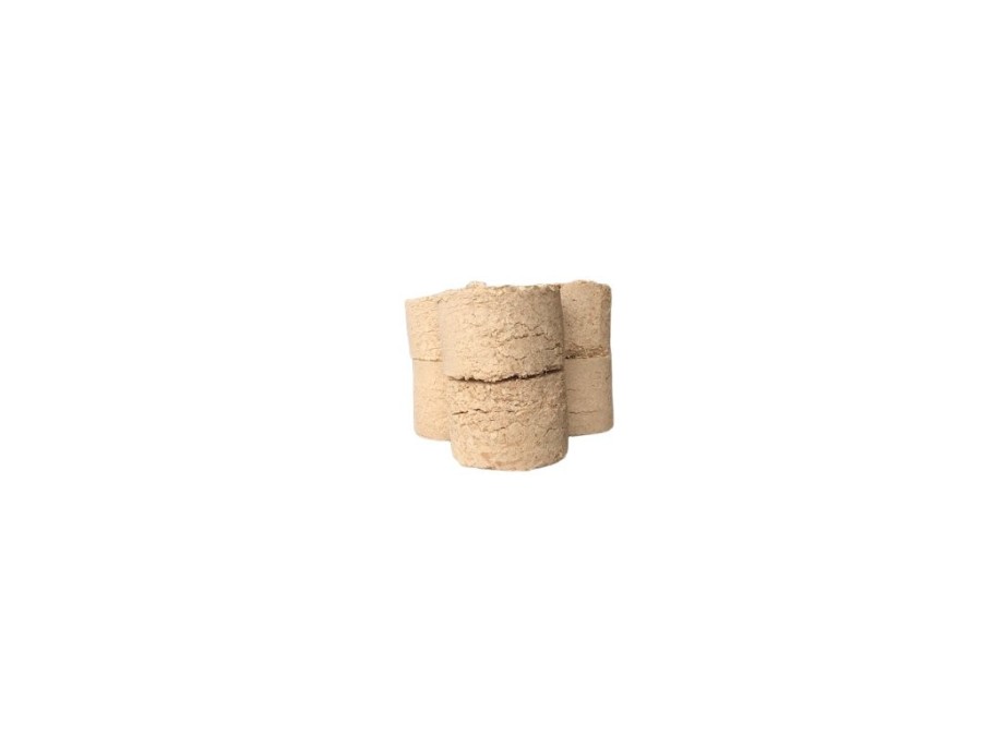 (obrázek pro) Hlíva růžová (Pleurotus djamor) 1kg, sada pro pěstování