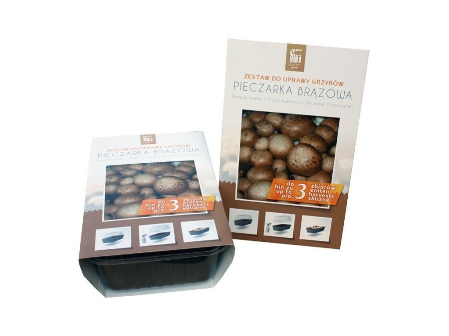 (obrázek pro) Sada pro pěstování Žampion hnědý 3L (Agaricus Bisporus)