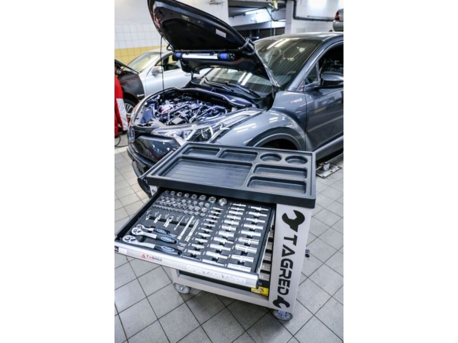 (obrázek pro) Dílenská pojízdná skříňka, 7 zásuvek, sada nářadí 251ks TAGRED