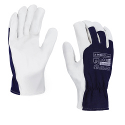 (obrázek pro) VYZTUŽENÉ RUKAVICE Z KOZÍ KŮŽE IZOLOVANÉ X-PERFECT ZIMNÍ VEL. 10 